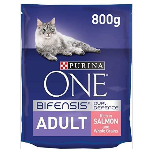 Purina ONE Adult Salmon & Wholegrain 800g