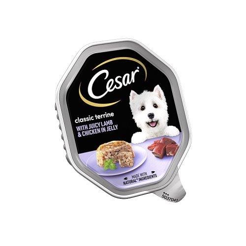 Cesar Classic Terrine Dog Food Tray Lamp Chicken In Jelly 150g