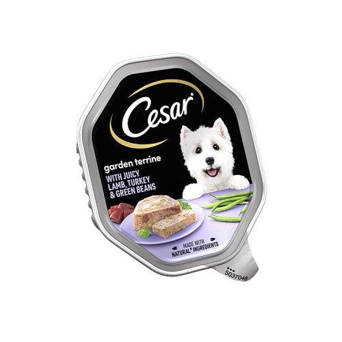 Cesar Garden Terrine Dog Food Tray Lamp Turkey & Green Beans In Loaf 150g